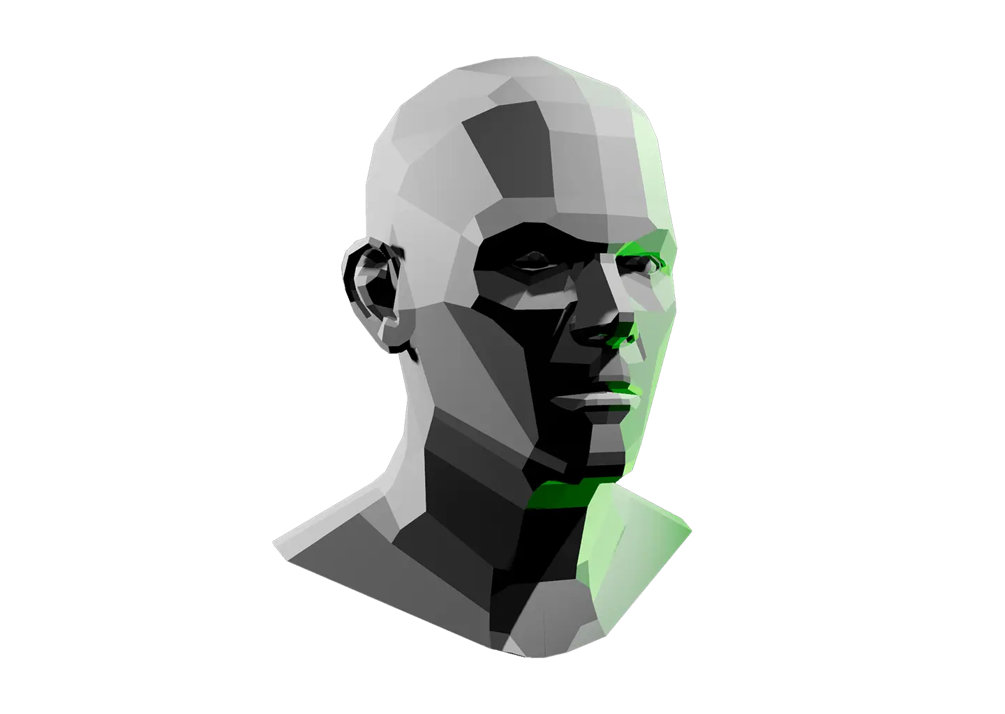 Planes of the head faceted face with shading on different parts of the face and neck